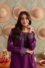Dhanak-2pc Embroidered- 290 - QQ