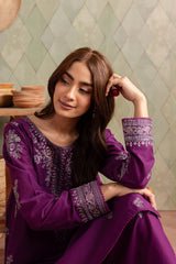 Dhanak-2pc Embroidered- 290 - QQ