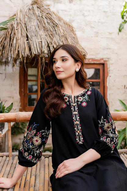Dhanak-2pc Embroidered- 311 - QQ