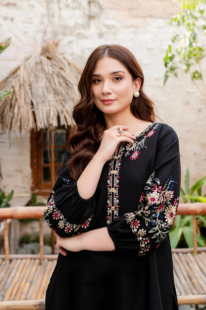 Dhanak-2pc Embroidered- 311 - QQ
