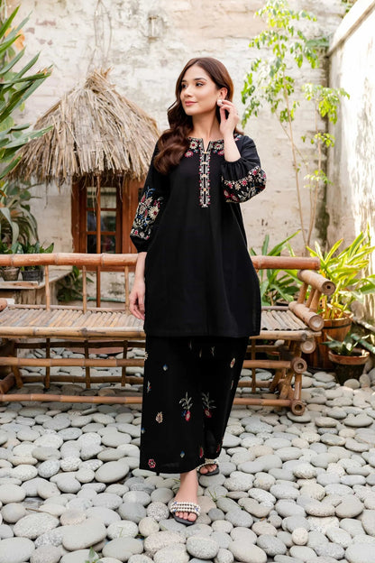 Dhanak-2pc Embroidered- 311 - QQ