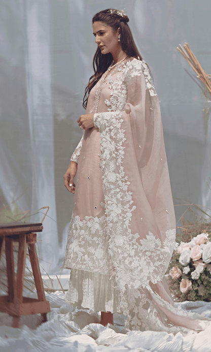 Dhanak-3PC Embroidered Shirt with Organza Embroidered Dupatta- 3294 - QQ